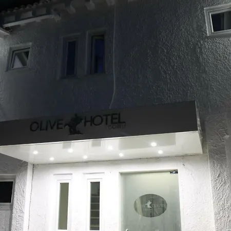 酒店 Olive Luxury
